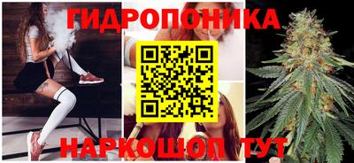 сатива Бийск