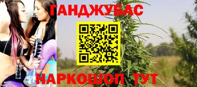 сатива Бийск