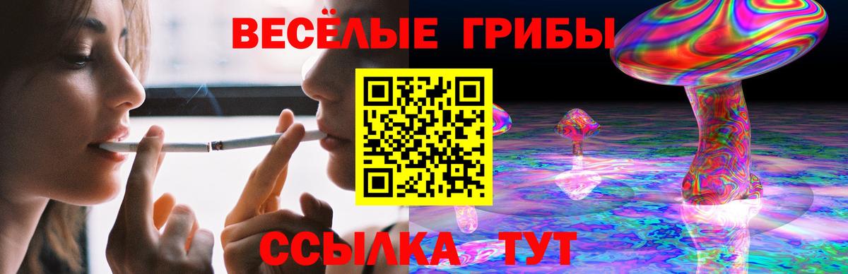 Псилоцибиновые грибы мицелий  Псилоцибиновые грибы Cubensis  где купить наркотик  Жигулёвск  Вход с VPN 